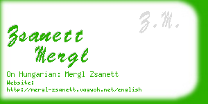 zsanett mergl business card